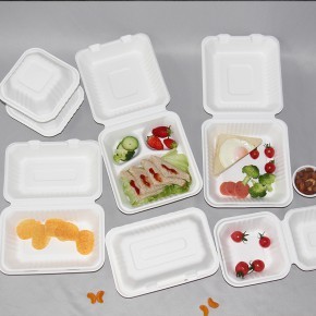 新型环保餐盒 可降解外卖打包盒一次性环保餐具